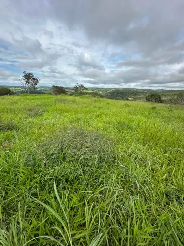 Chácaras de 2 hectares parcelado em 240x
