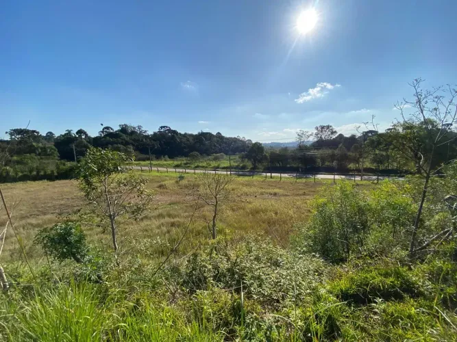 TERRENO PARA ALUGAR ou VENDA 10.000 m² CAMPO SANTANA