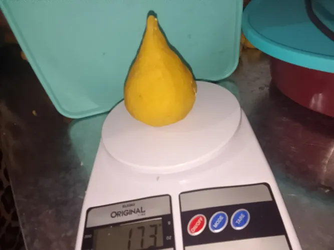 Salgados para festa e lanchonete 