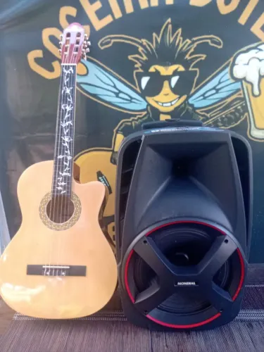 Combo Harmônics + caixa amplificada+pé de caixa 