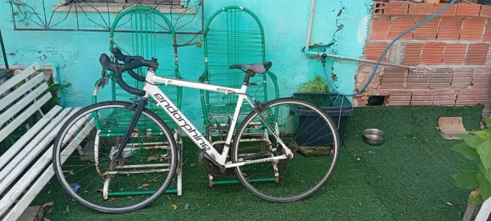 Bike speed endorphine