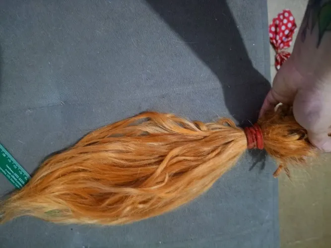 Cabelo humano descolorido usado na queratina