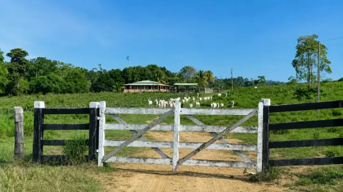 FAZENDA À VENDA - ALTAMIRA/PA