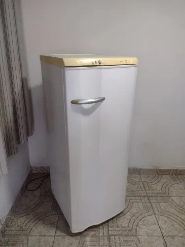 Geladeira Electrolux mod RE 28 240 LTS 110v