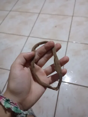 Vendo Rabicó Bage