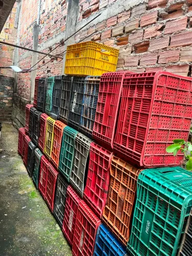 Caçapa plástica para Hortifruti 