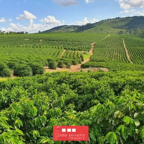 Fazenda para Venda em Perdões