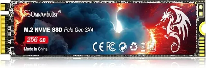 SSD M2 nvme Somnambulist 256gb
