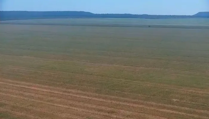 Fazenda 6250 HA a venda em Porto Alegre do Piauí no Estado Piauí!