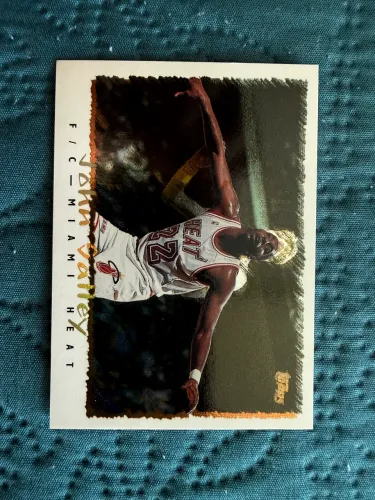 John Salley Topps 1994-95 #174 Miami Heat