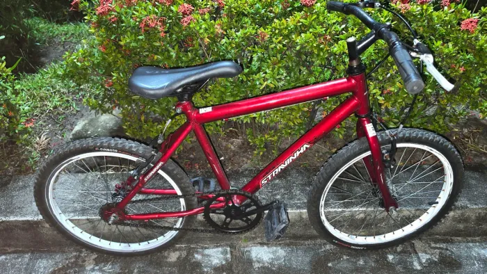 Bicicleta infantil vermelha