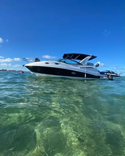 Focker 305 GT 