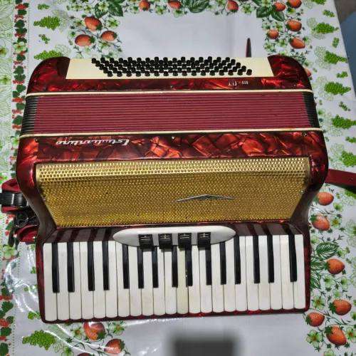 Acordeon Universal 80 Baixos