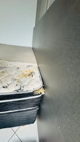 Cama