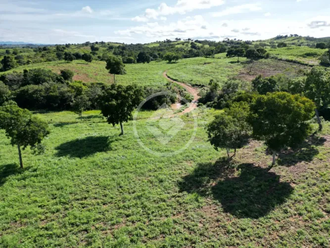 Vendo uma fazenda com 301 hectares a 80 km de Várzea Grande sentido Cáceres sendo 27km de