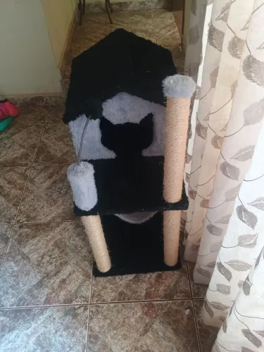Casinha Para Gato