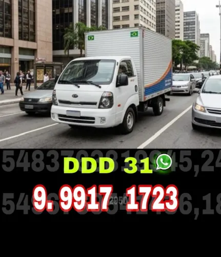 Carreto Frete em Havai com Transporte Rápido e Seguro