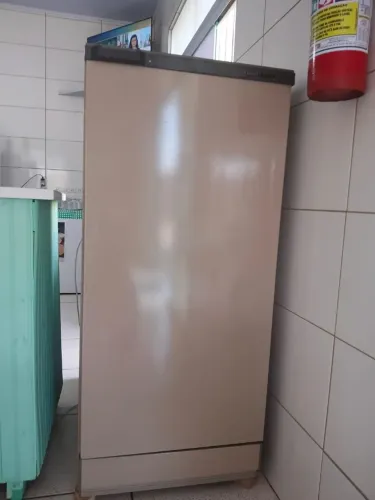 Geladeira Consul 220 voltagem