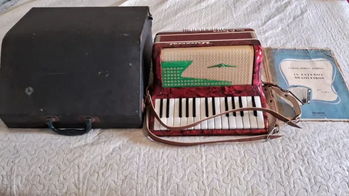 Sanfona acordeon original e proficional