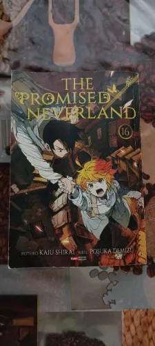 Mangá The Promised Neverland Vol. 16, Bom Estado