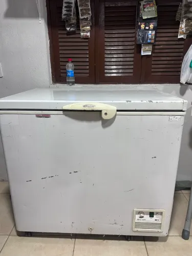 Freezer 1 tampa