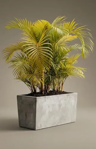 JARDINEIRA QUADRILÁTERO MADRI FUNIL 0,80cm CUP X 0,40cm ALT