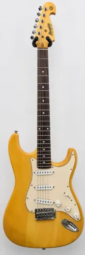 Guitarra shelter SSS (com capa)