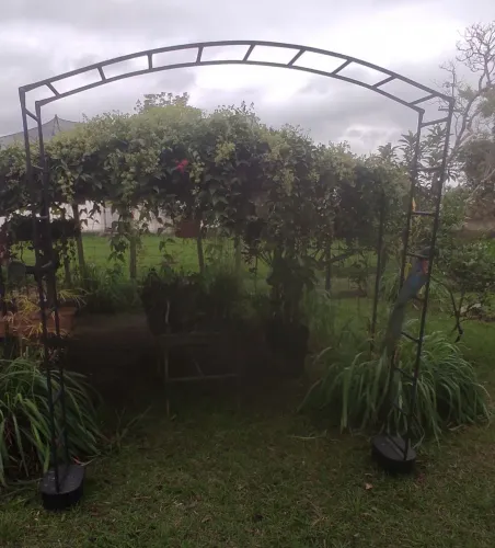 Pergolado metálico tipo arco