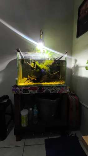Aquario 72l Completasso