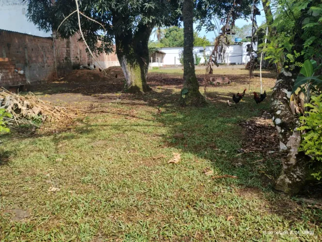 vende-se lote de terreno plano, no centro comercial em Aldeia, facilita.