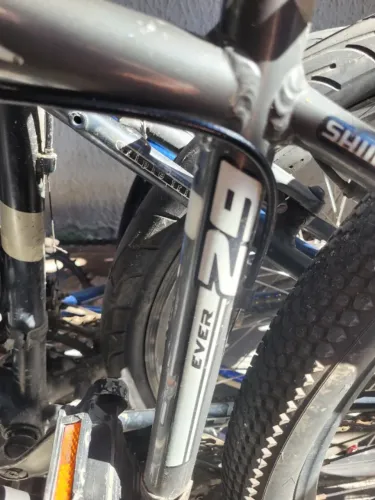 Bicicleta EVER big 8.0 29"