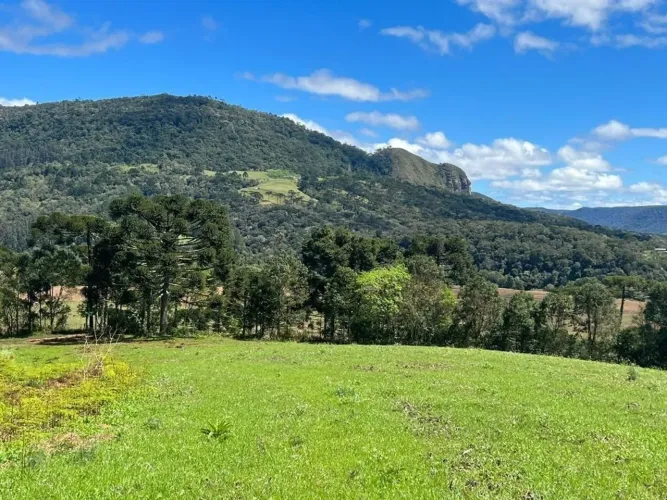 Terrenos de 2 hectares a partir de R$259.000,00