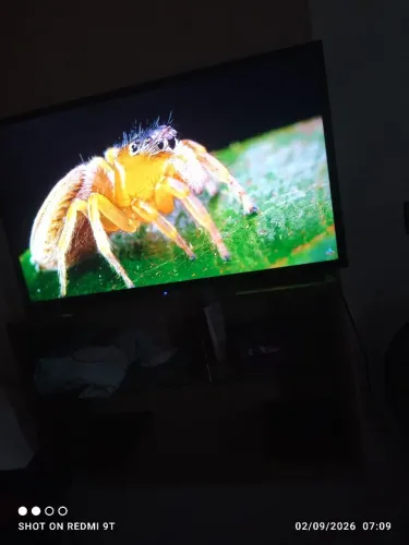 Monitor para Pc 32 polegadas / tv aoc