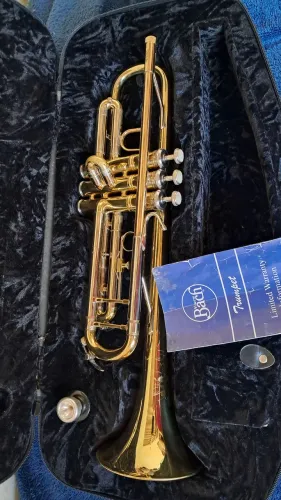 Trompete Vincent Bach 305 seminovo, Completo americano Original