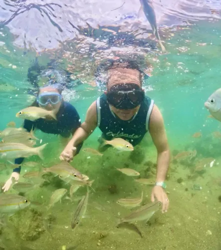 Viagens e excursões
