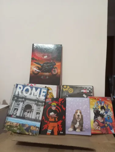 cadernos escolar 