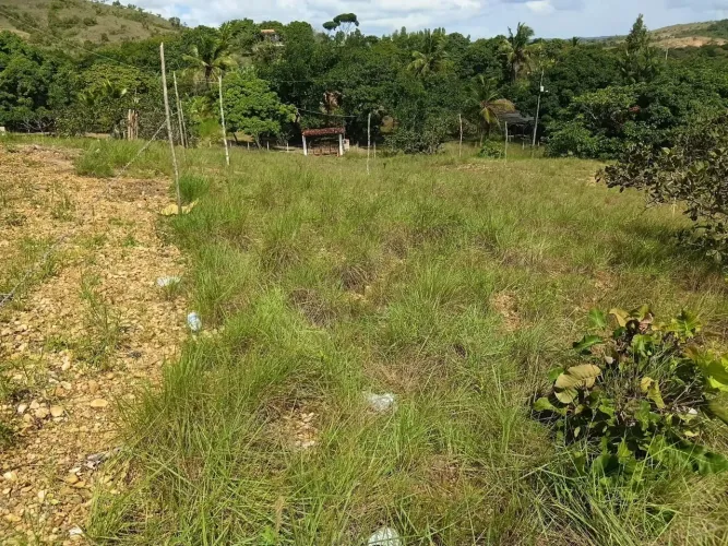 Terreno
