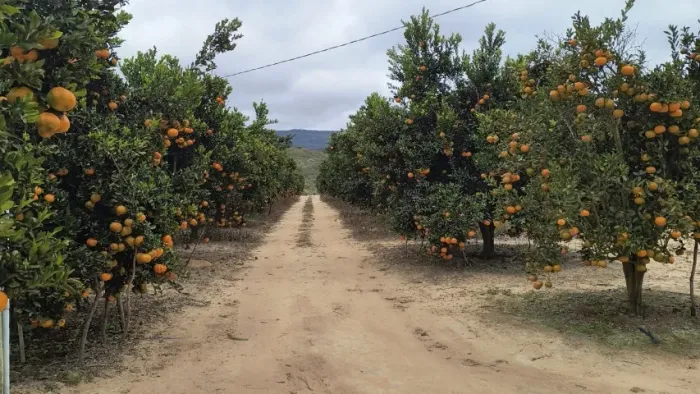 Sítio com Porteira Fechada e 42 Hectares em Rio de Contas - Chapada Diamantina