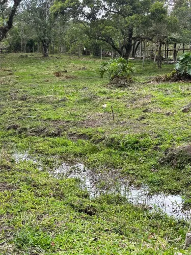 Sítio/terreno