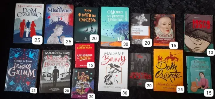 Livros de literatura - Madame Bovary, Os miseráveis, Morro dos ventos uivantes, Shakespare