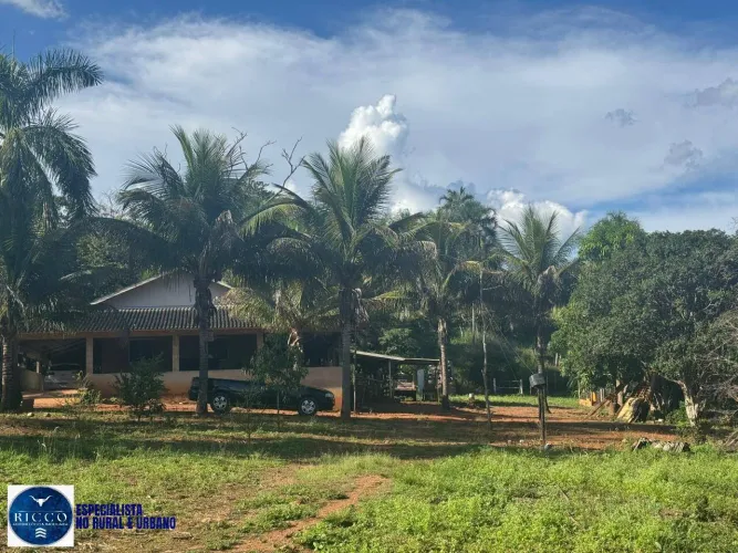 Chácara à Venda com 1 Alqueire na Divisa de Goiânia e Nerópolis GO