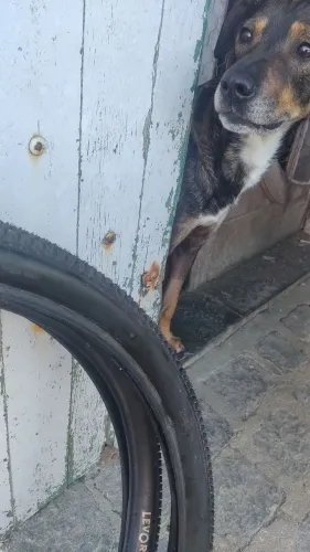 pneus Pirelli aro 29 novo