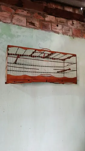 Voador 80cm