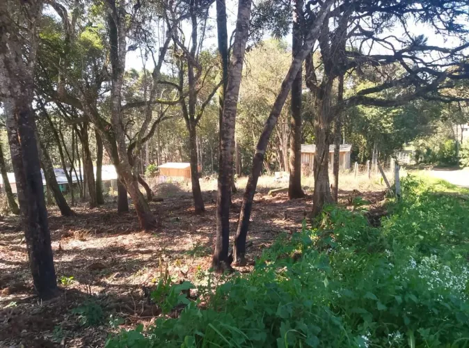 Terreno de esquina