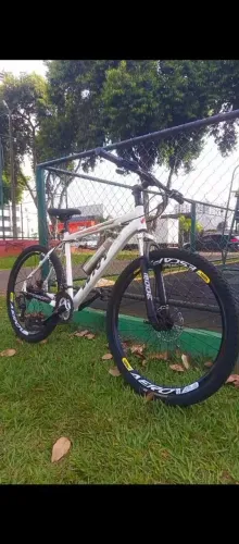 Bicicleta WNY de Aro 29 