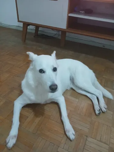 Doação