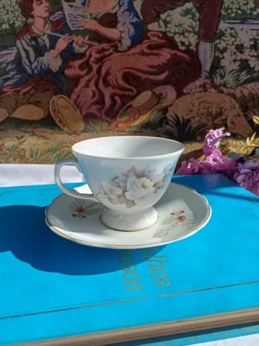 Xicara de chá Schmidt com pires adaptado porcelana Real
