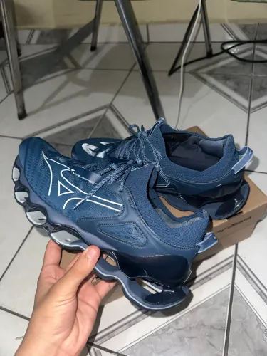 Mizuno prophecy 14