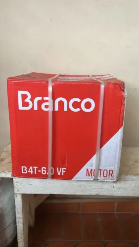 Motor à Gasolina 6,0CV Eixo Vertical B4T-6.0 Branco (lacrado) 