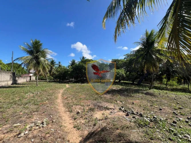Terreno à venda, 5000 m² por R$ 550.000,00 - Redinha - Natal/RN